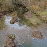 Diemelrenautierung