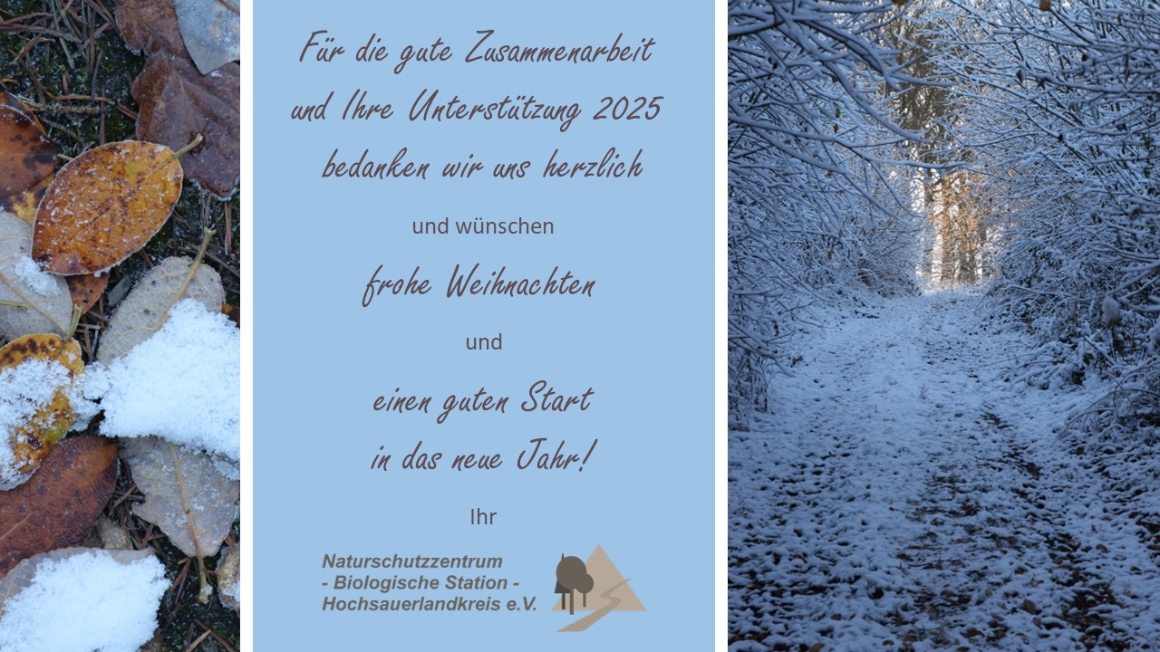 Weihnachtsgruß 2025