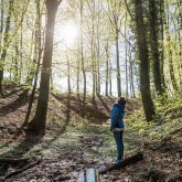 Erholung im Wald