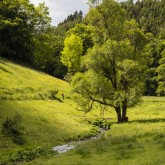 Landschaft Naturpark Diemelsee