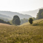 Landschaft Naturpark Diemelsee